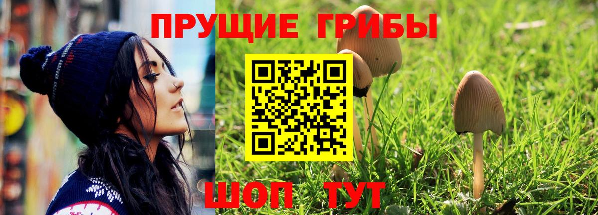 Калининград  Псилоцибиновые грибы Psilocybe  Вход с VPN 