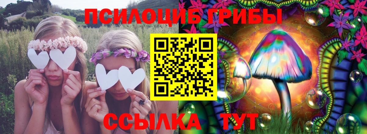Псилоцибиновые грибы Magic Shrooms Калининград